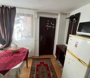 Ploiesti House | Rosu Costin