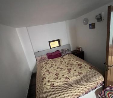Ploiesti House | Rosu Costin