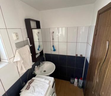 Ploiesti House | Rosu Costin