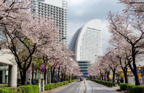 Nishi Apartment | rot横浜浅間町4丁目206