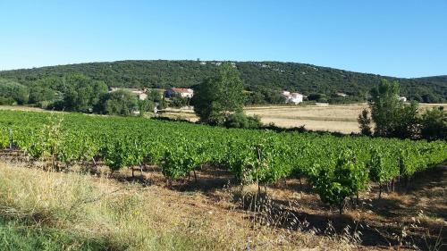 Baron Bed & Breakfast | Roulotte domaine Farigoule