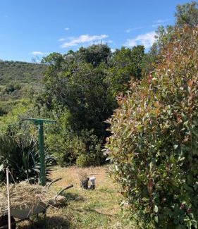 Pianotolli-Caldarello House | Roulotte individuelle dans le maquis Corse