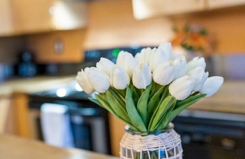 Raynolds Addition Apartment | Route 66 views! 1-Bed Penthouse in Downtown ABQ