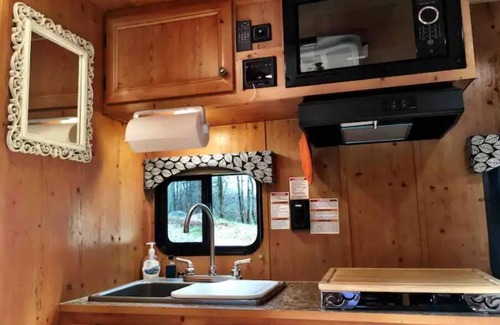 Suches House | Roxy - Cozy Camper at Suches Wilderness Ranch