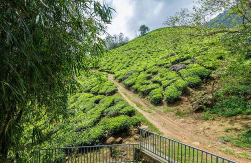 Chithirapuram House | Royal Mist Villa