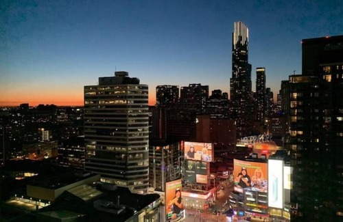 Bay Street Corridor Condo | Rrffgxxshhaj