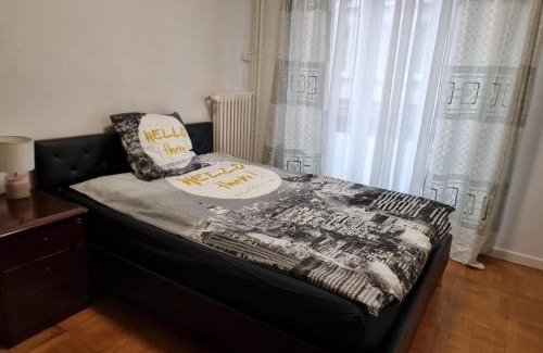 Eaux-Vives Vollandes Apartment | Rue de l'Indiennerie 3