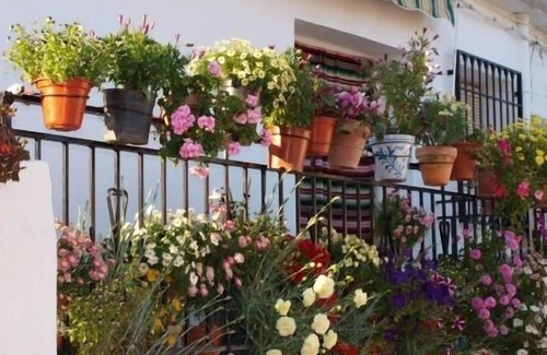 Lobras Cottage | Rural apartment El Huerto de Lobras for 2 people