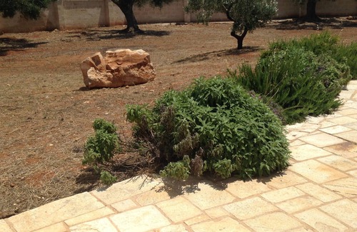 Racale House | Rural house among olive trees with all the comforts at 2 steps from Gallipoli Taviano