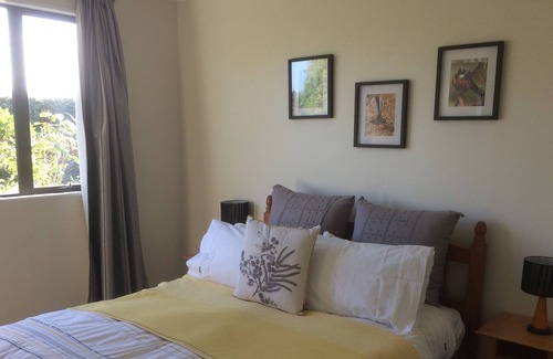 Seddon Cottage | Rural Little Oasis Vineyard, Seddon near Blenheim, wine tasting