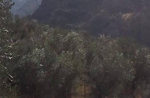 Guejar Sierra Cottage | rural stay cortijo la solana (house nº 3)
