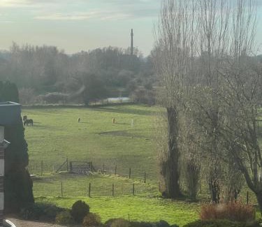 Lobith House | Rust, natuur & een gratis ontbijt met uitzicht op paardenweiden