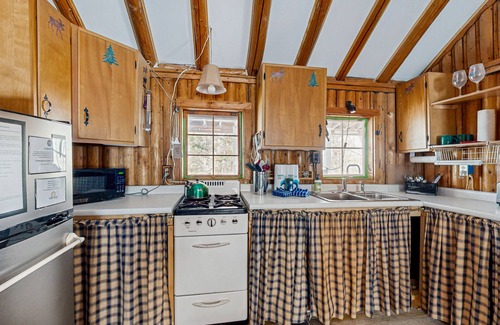 Greenville House | Rustic cabin near boating, fishing or hiking to the lake - dog-friendly
