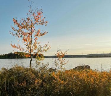 Bodarne House | Rustic Cottage For Creative Souls By Lake Lingbo