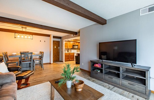 East Side Pioneers Condo | Rustic, Cozy 2 Bed/1 Bath, In-Unit Laundry, Parking + 6 blocks from Mayo!