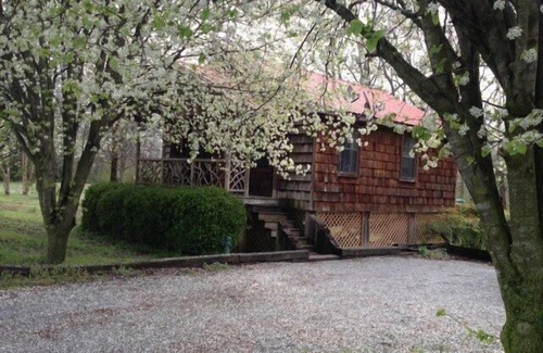 Wildwood Cabin | Rustic Cozy Cabin with Hot Tub!