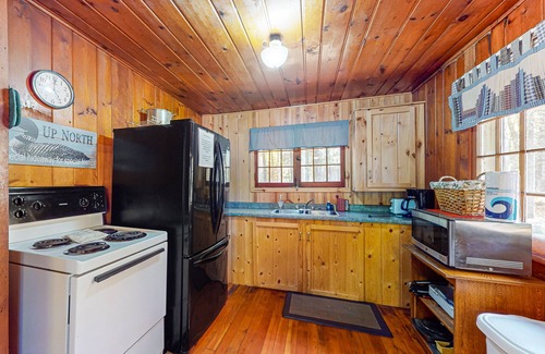 Mercer Cabin | Rustic dog-friendly cabin on Grand Portage Lake with lake views, firepit, WiFi