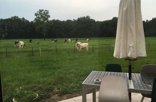 Getelo House | Rustic Family Lodge - Pets welcome