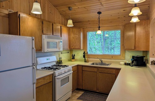 Sayner Cabin | Rustic Fawn at White Birch Lake | Fireplace, AC, Lake Access w/Dock, Dogs OK