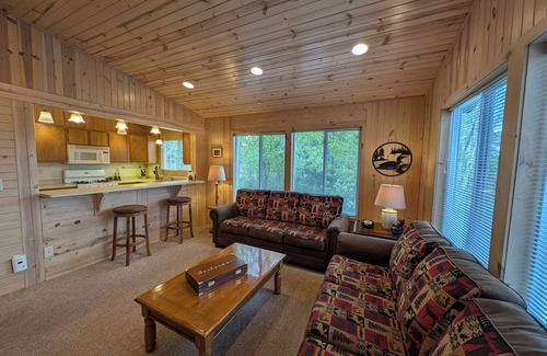 Sayner Cabin | Rustic Fawn at White Birch Lake | Fireplace, AC, Lake Access w/Dock, Dogs OK