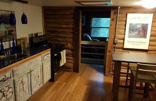 Saluda Cabin | Rustic log cabin on Pearson falls rd