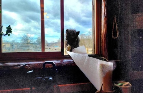 Dewart House | Rustic Luxury w/Horses-Historic Whiskey Distillery