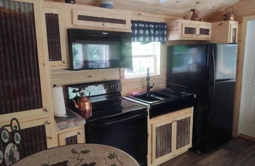 Topton Cabin | Rustic Mountain Cabin 225