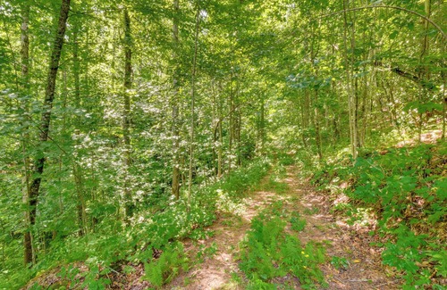 Rabun Gap Cabin | Rustic Rabun Gap Cabin ~ 2 Mi to Dtwn Clayton!