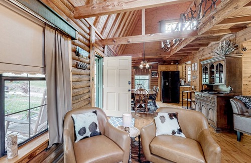Tiger Cabin | Rustic retreat with mountain views, hot tub, grill, fireplace, central AC, & W/D