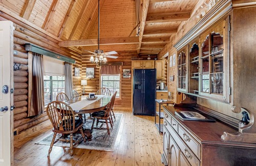Tiger Cabin | Rustic retreat with mountain views, hot tub, grill, fireplace, central AC, & W/D