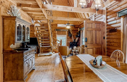 Tiger Cabin | Rustic retreat with mountain views, hot tub, grill, fireplace, central AC, & W/D