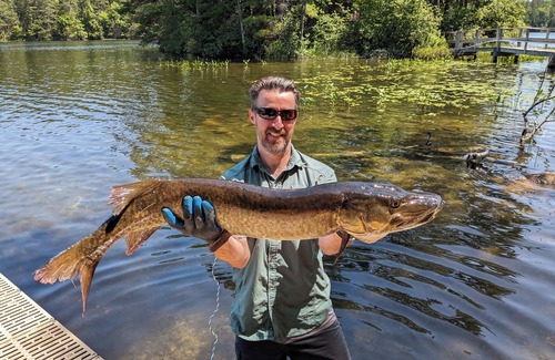 Lac du Flambeau Cabin | Rustic, Wisconsin Northwoods cabin. Lakeview! Family & Pet Friendly!