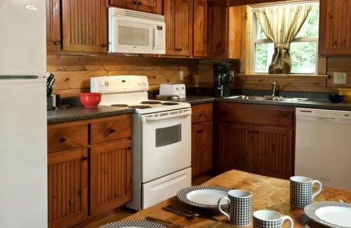 Topton House | Rustic Yet Modern Fishing and White Water Rafting Cabin in Scenic Nantahala Mountains of North Carolina
