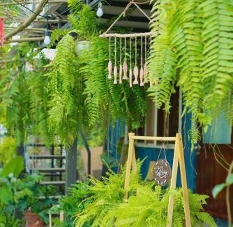 Phu Vang Other | Rusty Garage Homestay Huế