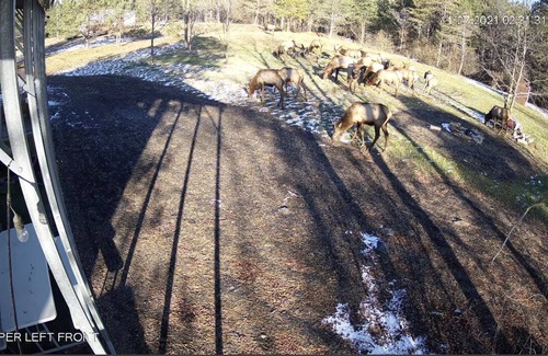 Benezette RV Rental | RV Lot On Best Elk Viewing Road (Across From Visitor’s Center)
