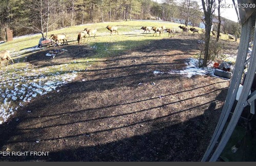 Benezette RV Rental | RV Lot On Best Elk Viewing Road (Across From Visitor’s Center)