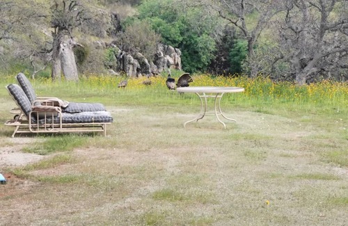 Raisin RV Rental | RV Parking in the beautiful country