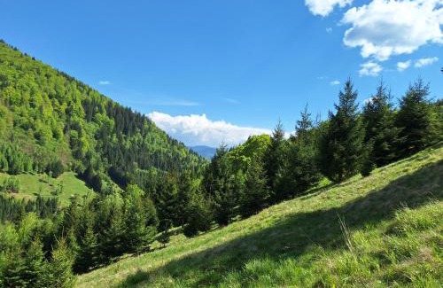 Rucar Cabin | Sătic Casa Maria