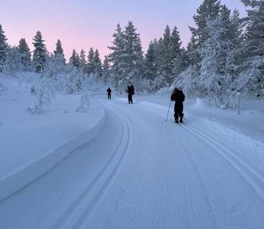 Saariselka Ski Chalet | Saariselällä, sielukas hirsimökki - Unique cottage