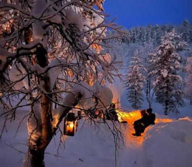 Saariselka Ski Chalet | Saariselällä, sielukas hirsimökki - Unique cottage