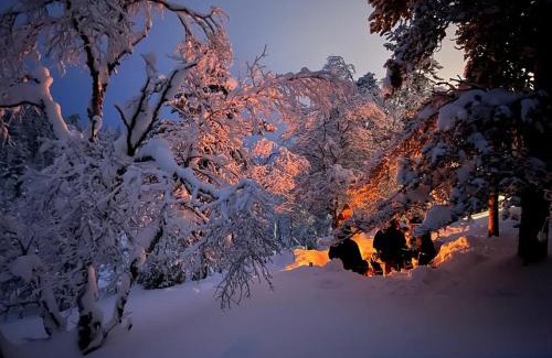 Saariselka Ski Chalet | Saariselällä, sielukas hirsimökki - Unique cottage