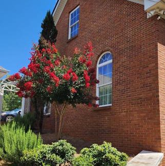 Douglasville House | Saba House