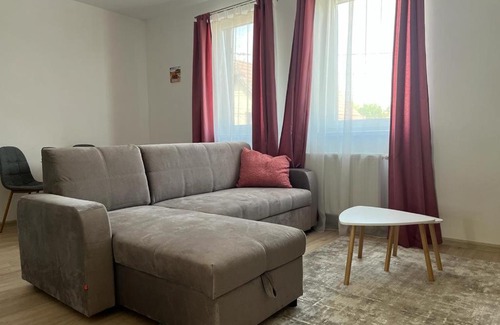 Sfantu Gheorghe Apartment | Sabina Apartaments