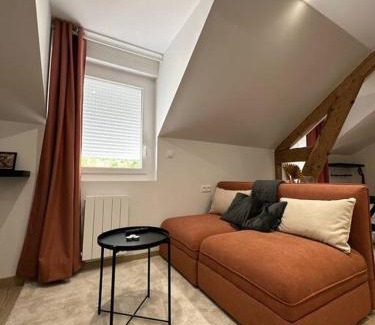 Rodez Apartment | /Sacré studio/Parking privé/Wifi