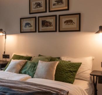 San Francisco Apartment | Safari AC by Staynnapartments