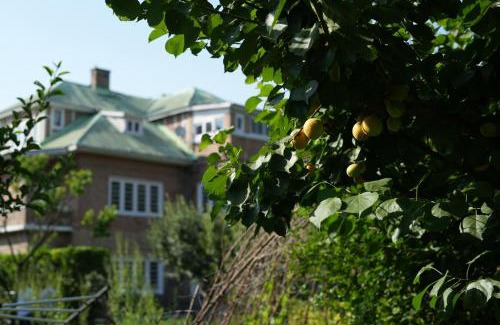 Srinagar House | SaffronStays Awakening Suite