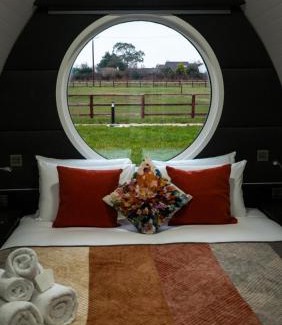 Malahide House | Sage- Glamping Pod