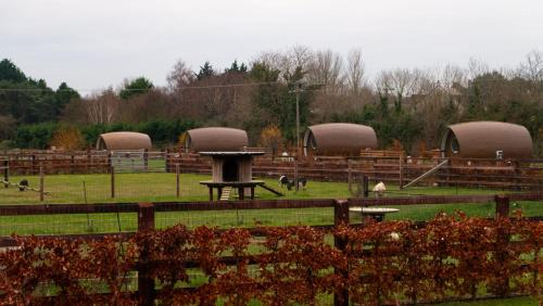 Malahide House | Sage- Glamping Pod