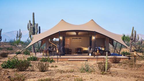 Marana Other | SaguaroGlamp