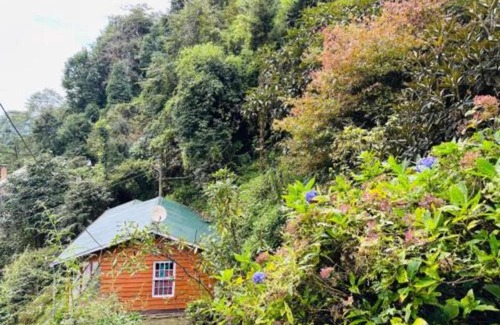 Darjeeling House | Sai Maple Eco Resort, Darjeeling